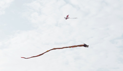 聚焦驾培，共促发展！欢迎南京驾培协会莅临白云集团参观交流！