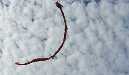 婚礼现场、企业年会、商业庆典、景区引流、节日活动统统适用！室内外无人机表演，就找白云航空，让你的喜事与众不同！[玫瑰][玫瑰][玫瑰][庆祝][庆祝][庆祝]