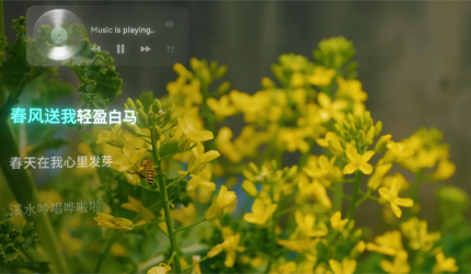 春风十里，不如学车有你！快来白云驾校，赴一场春日之约！